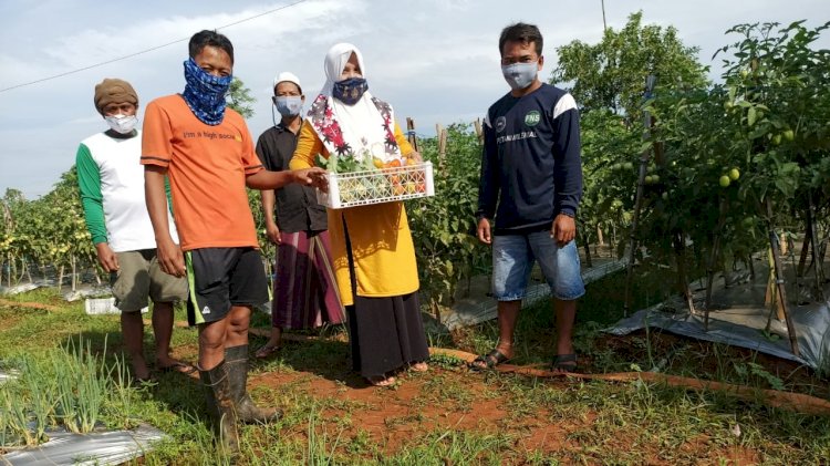 PHE WMO "Sulap" Lahan Tandus  Jadi Lahan Subur / ist