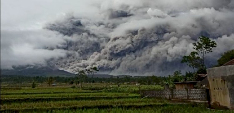 Gunung Semeru/Net