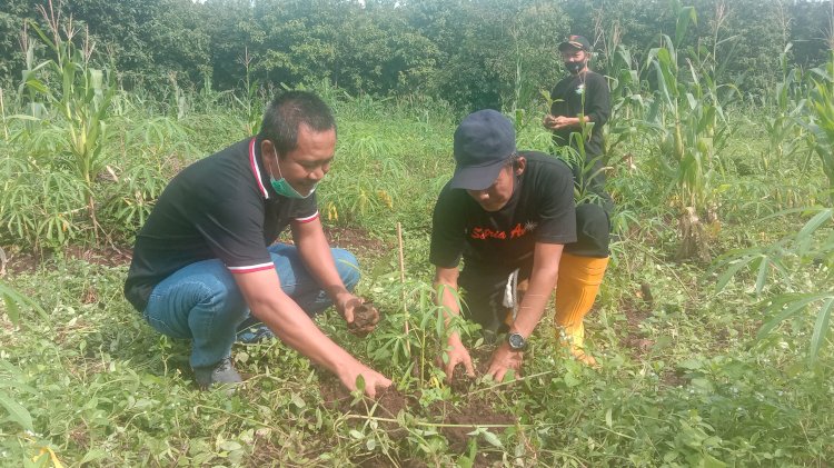 Antok saat melakukan penanaman pohon penghijauan di RPH Krandegan bersama Pasther