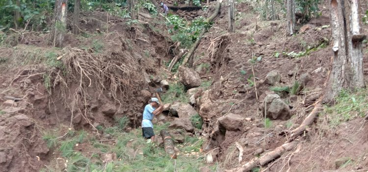 Lokasi bencana bukit longsor di Desa Umbulrejo, Kecamatan Jogorogo, Ngawi