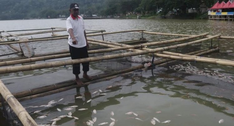 Ribuan ikan di Telaga Ngebel mabuk terkena belerang/RMOLJatim