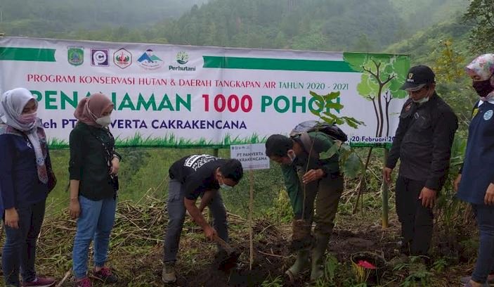 Penanaman bibit pohon di bukit Gunung Ringgit/Ist