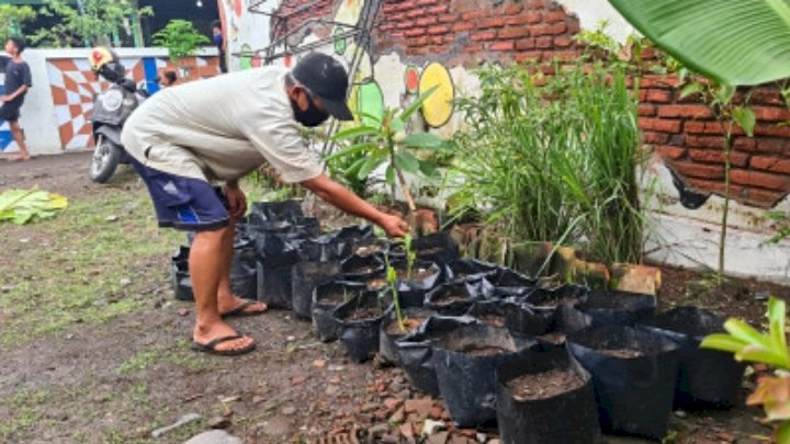 Aktivitas berkebun/Dok Hms