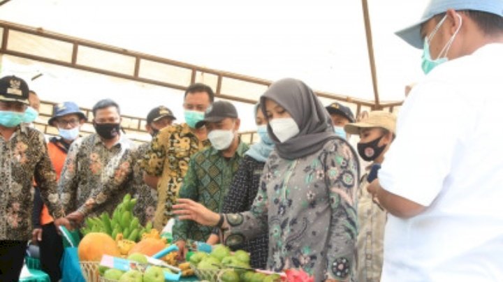 Bupati Banyuwangi Ipuk Fiestiandani/Dok Hms
