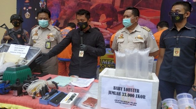 Kasatreskrim Kompol Wahyudin Latief beber barang bukti benih lobster