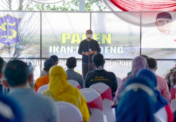 Eri Cahyadi usai panen bandeng di Mangrove Wonorejo Surabaya/RMOLJatim