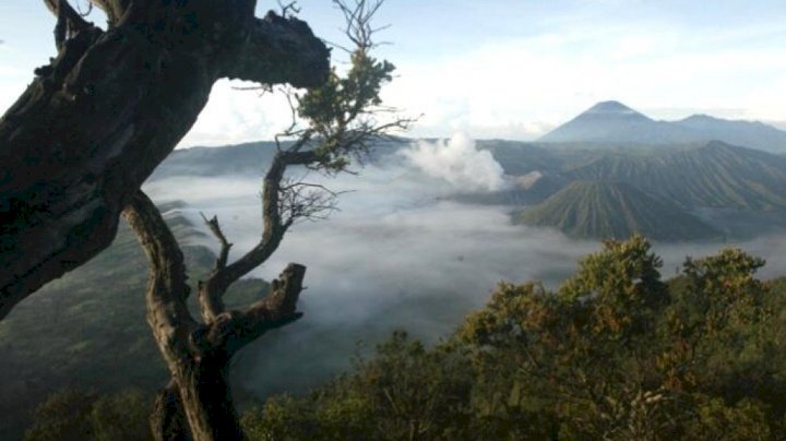 Gunung Bromo / ist
