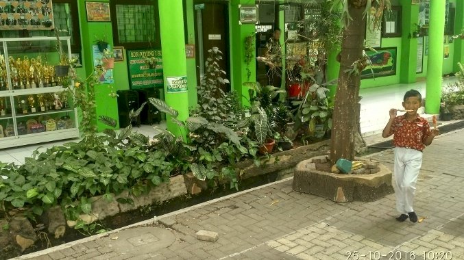 Salah satu penilaian dalam lomba Sekolah Adiwiyata Kota Surabaya Tahun 2021/ist