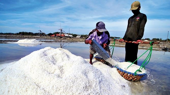 Petani garam/Net