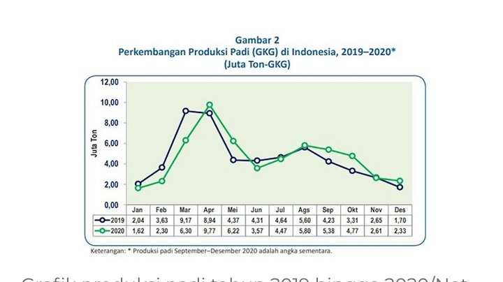 Grafik produksi padi tahun 2019 hingga 2020/Net