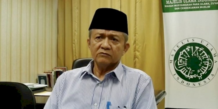 Wakil Ketua Majelis Ulama Indonesia (MUI), Anwar Abbas/Ist