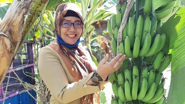 Kasie tanaman hortikultura Sri Winarti dan Pisang Cavendish yang dikembangkan di kabupaten Madiun/ ist