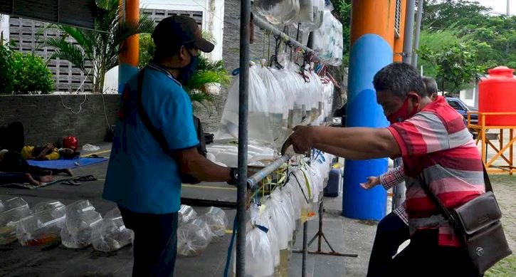 Pedagang ikan hias di Sentra Ikan Bulak/RMOLJatim