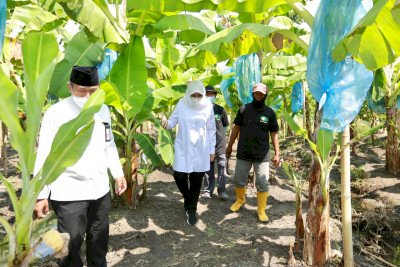 Bupati Banyuwangi Ipuk Fiestiandani/Dok Hms