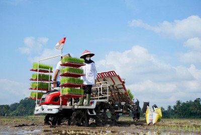 Tanam Perdana Metode Agro Solution/Dok.Hms