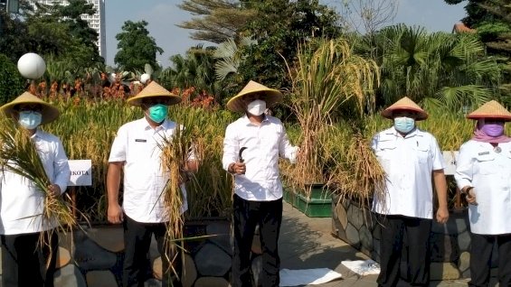 Wali Kota Eri bersama jajaran panen padi di Balai Kota/RMOLJatim