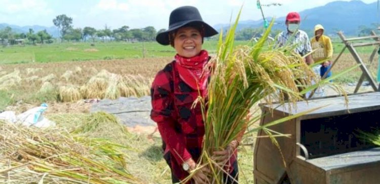 Anggota Komisi IV DPR, Luluk Nur Hamidah/RMOL