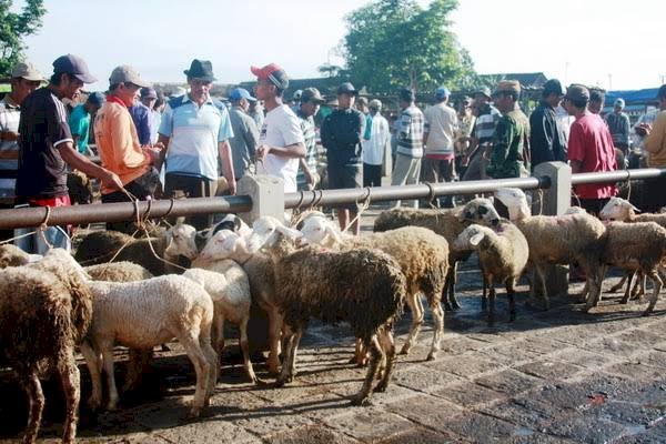 Pasar hewan di Lamongan/RMOLJatim