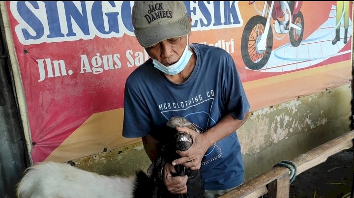 Kohar, penjual hewan kurban di Kota Kediri/RMOLJatim