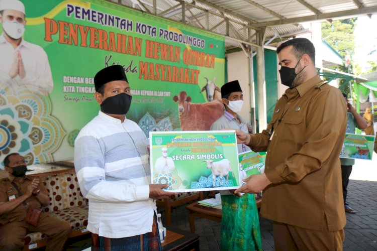 Wali Kota Probolinggo saat memberikan hewan kurban secara simbolis ke salah seorang Takmir Masjid/RMOLJatim