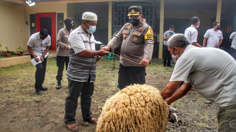 penyerahan seekor sapi kurban, oleh Kapolres Jember AKBP Arif Rachman kepada 11 perwakilan pengurus yayasan.