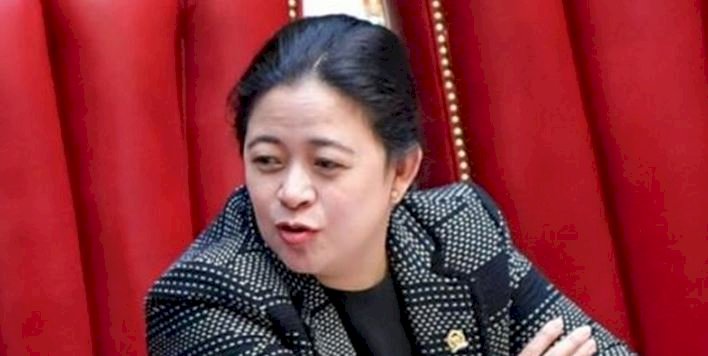 Ketua DPR RI Puan Maharani/Net