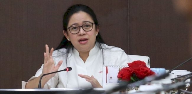 Ketua DPR RI Puan Maharani/Net