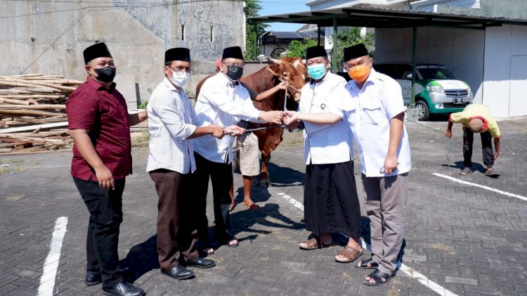Foto Plt. Direktur (Parsudi) & Komisaris (Husnul Khuluk) dalam penyerahan Hewan Qurban.