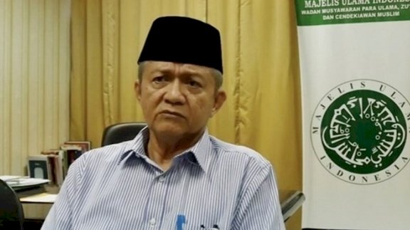 Wakil Ketua Umum MUI Anwar Abbas/Net