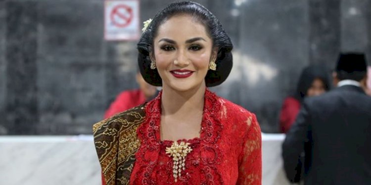 Anggota Komisi IX DPR RI, Krisdayanti/Net