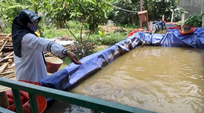 Tenaga Pendidik Beri Makan Ikan Lele