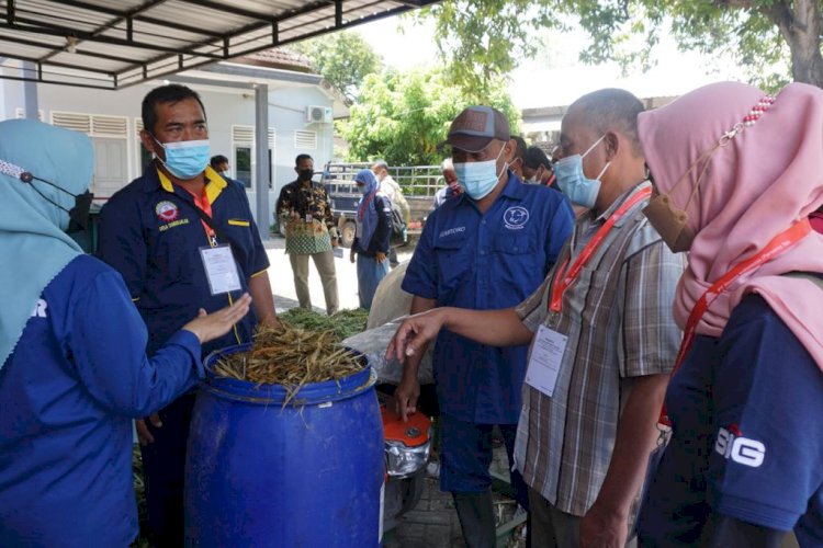  Pelatihan peternakan terpadu/Ist