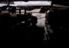 Menengok Sentra Produksi Jamur Tiram Terbesar di Sumsel