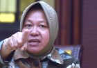 Mensos Risma Salah Jabatan, Dia Bagus Pimpin Bakamla, BNN, atau Satpol PP