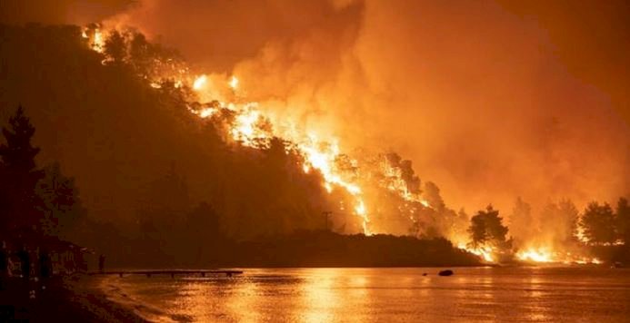 Kebakaran hutan di Yunani/Reuters