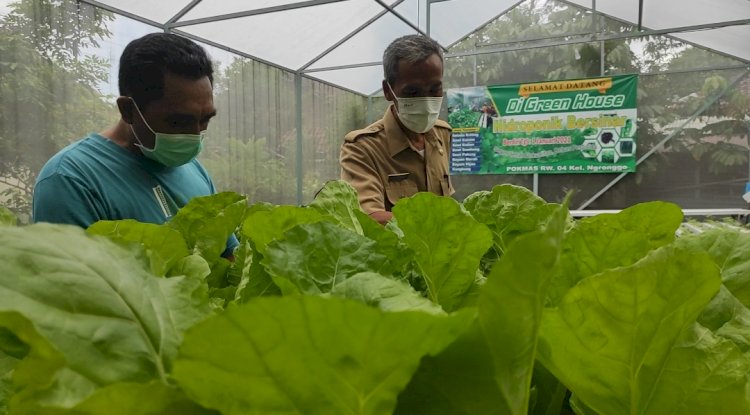 Kepala DKPP Kota Kediri (baju coklat) Sedang melihat Tanaman Hidroponik/RMOLJatim