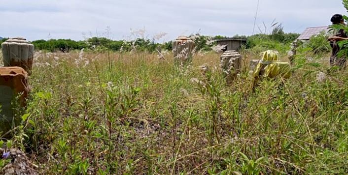 Lokasi yang diduga makam kuno Aceh di area pembangunan IPAL Gampong Pande dan Gampong Jawa/RMOLAceh