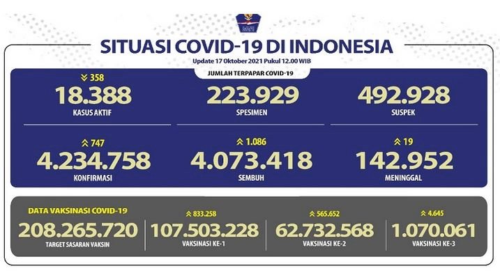 Data perkembangan terbaru kasus Cpvid-19 di Indonesia per Minggu (17/10)/Ist