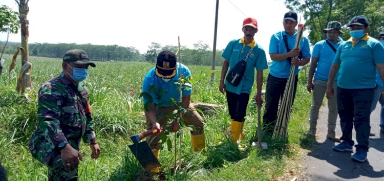 Petugas dari dinas PUPR saat lakukan penghijauan/RMOLJatim