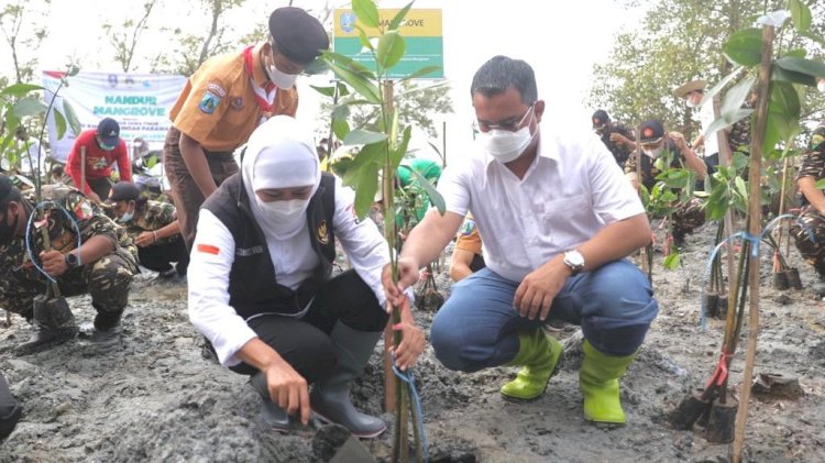 Rahan Laju Perubahan Iklim, Gubernur Khofifah Ajak Gotong Royong Kebut Restorasi Mangrove/dok hms