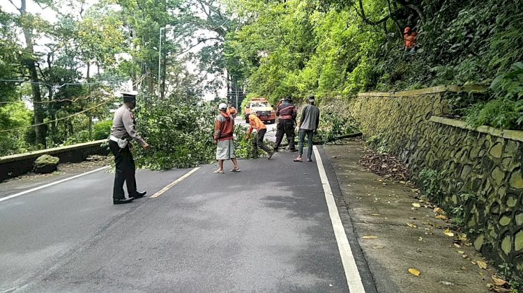 Kegiatan mitigasi bencana di sepanjang jalan Gunung Gumitir/RMOLJatim