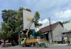 Pajak 47 Papan Reklame di Bondowoso Menunggak Capai Rp 500 Juta, Pemiliknya dari ASN Hingga Politisi