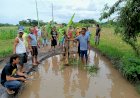 Protes Jalan Rusak, Warga di Probolinggo Lakukan Aksi Tanam Padi dan Mancing di Tengah Jalan