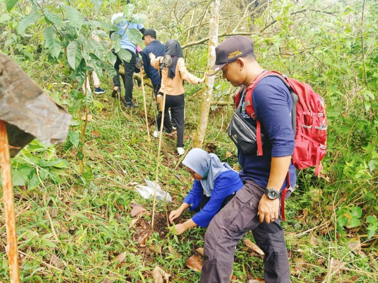 Tim KKN UNESA Tanam Bibit Cemara Gunung/Ist