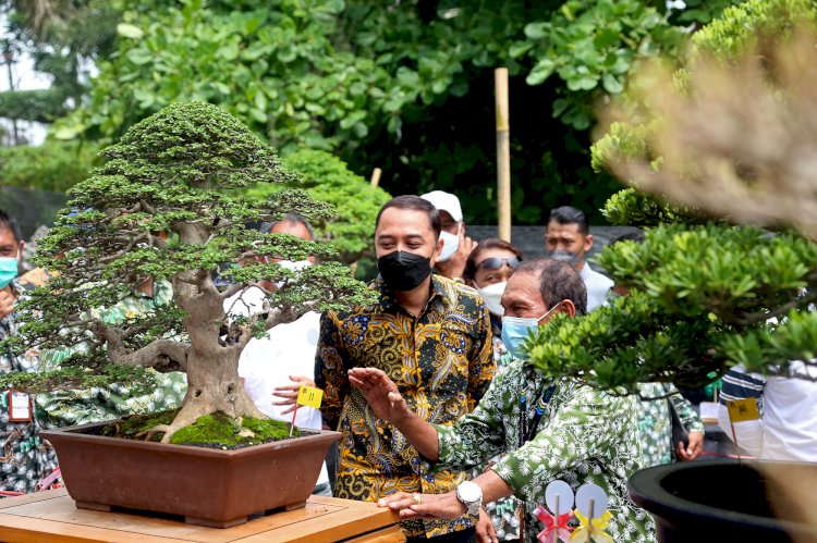 Wali Kota Eri saat meninjau pameran dan kontes Bonsai Nasional Surabaya/ist