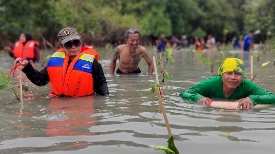 Kegiatan penanaman bibit mangrove