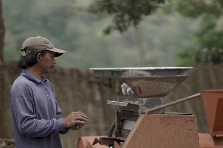 Salah seorang petani kopi tengah melakukan pengolahan/Ist