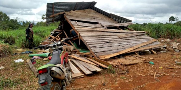 Gajar liar rusak rumah warga/net