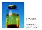 Energi Alternatif, Guru Besar UNESA Teliti Biji Karet Jadi Bahan Bakar Diesel