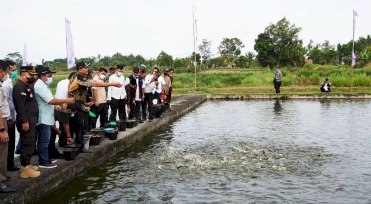 Bupati OKU Timur Lanosin Hamzah bersama para pejabat memberi pakan ikan patin pada peresmian Kampung Patin di Desa Sidorahayu/RMOLSumsel